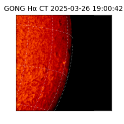 gong - 2025-03-26T19:00:42