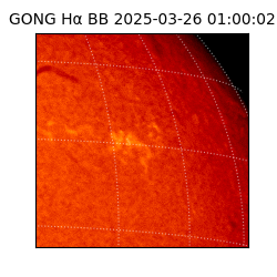 gong - 2025-03-26T01:00:02