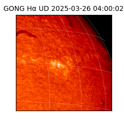 gong - 2025-03-26T04:00:02