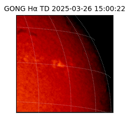 gong - 2025-03-26T15:00:22