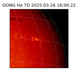 gong - 2025-03-26T16:00:22