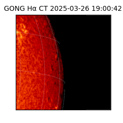 gong - 2025-03-26T19:00:42