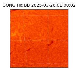 gong - 2025-03-26T01:00:02