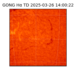 gong - 2025-03-26T14:00:22
