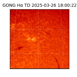 gong - 2025-03-26T18:00:22