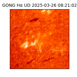 gong - 2025-03-26T08:21:02