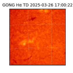 gong - 2025-03-26T17:00:22