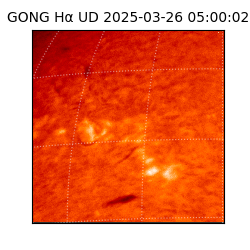 gong - 2025-03-26T05:00:02