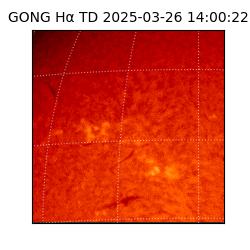 gong - 2025-03-26T14:00:22