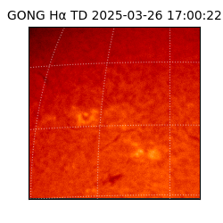 gong - 2025-03-26T17:00:22