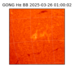 gong - 2025-03-26T01:00:02