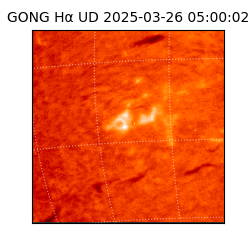 gong - 2025-03-26T05:00:02