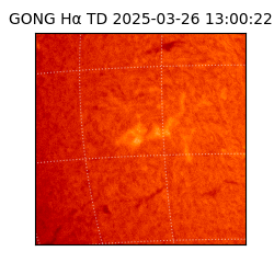 gong - 2025-03-26T13:00:22