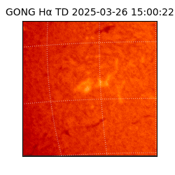 gong - 2025-03-26T15:00:22