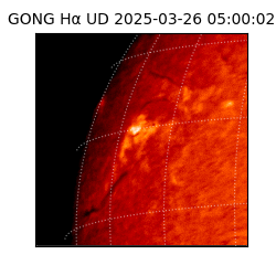 gong - 2025-03-26T05:00:02