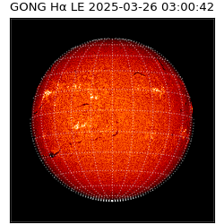 gong - 2025-03-26T03:00:42