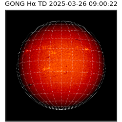 gong - 2025-03-26T09:00:22