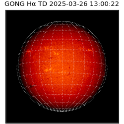 gong - 2025-03-26T13:00:22