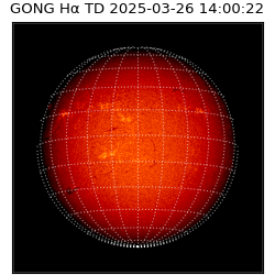 gong - 2025-03-26T14:00:22