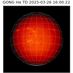 gong - 2025-03-26T16:00:22