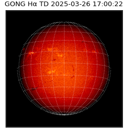 gong - 2025-03-26T17:00:22