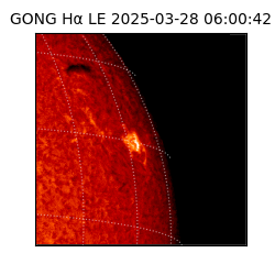 gong - 2025-03-28T06:00:42