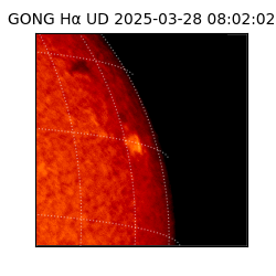 gong - 2025-03-28T08:02:02