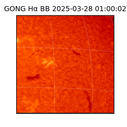 gong - 2025-03-28T01:00:02