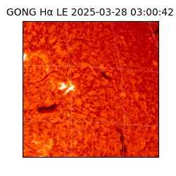 gong - 2025-03-28T03:00:42