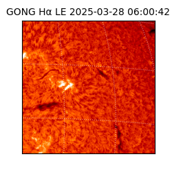 gong - 2025-03-28T06:00:42