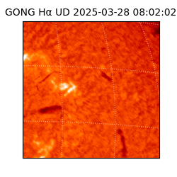 gong - 2025-03-28T08:02:02