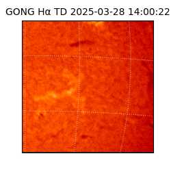 gong - 2025-03-28T14:00:22