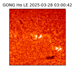 gong - 2025-03-28T03:00:42