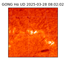 gong - 2025-03-28T08:02:02