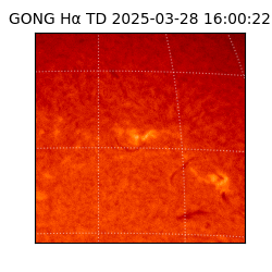 gong - 2025-03-28T16:00:22