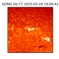 gong - 2025-03-28T19:00:42