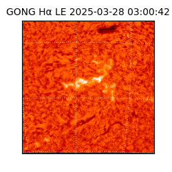 gong - 2025-03-28T03:00:42