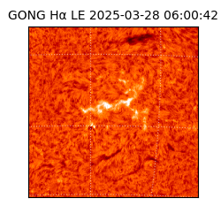 gong - 2025-03-28T06:00:42