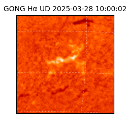 gong - 2025-03-28T10:00:02