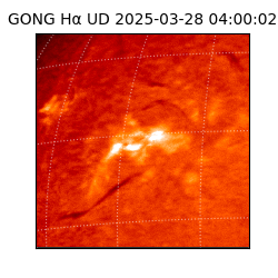 gong - 2025-03-28T04:00:02