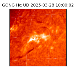 gong - 2025-03-28T10:00:02