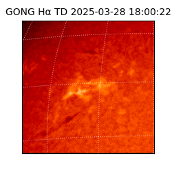 gong - 2025-03-28T18:00:22