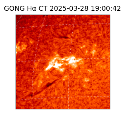 gong - 2025-03-28T19:00:42