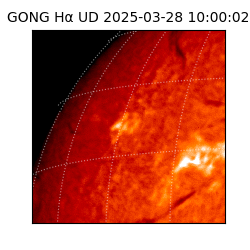 gong - 2025-03-28T10:00:02
