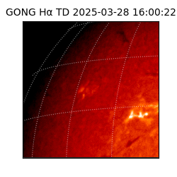gong - 2025-03-28T16:00:22