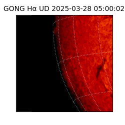 gong - 2025-03-28T05:00:02