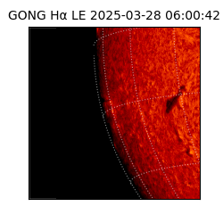 gong - 2025-03-28T06:00:42