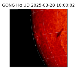 gong - 2025-03-28T10:00:02