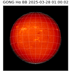 gong - 2025-03-28T01:00:02