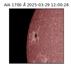 saia - 2025-03-29T12:00:28.720000